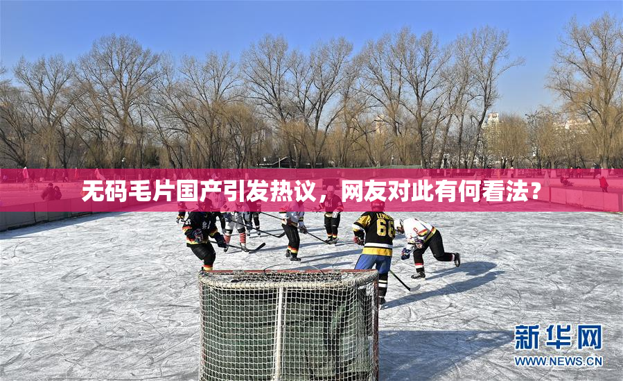 无码毛片国产引发热议，网友对此有何看法？
