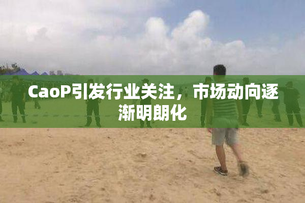 CaoP引发行业关注，市场动向逐渐明朗化