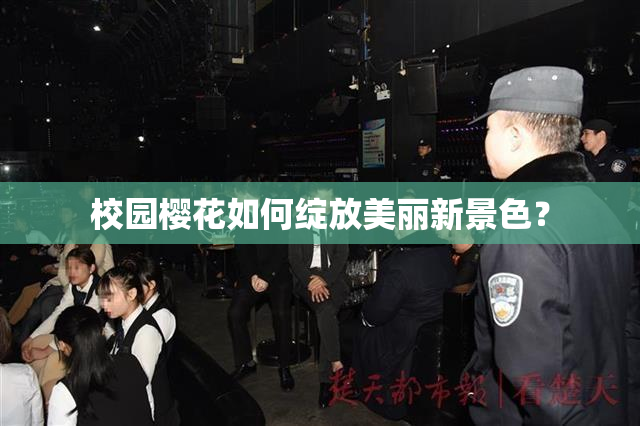 校园樱花如何绽放美丽新景色？