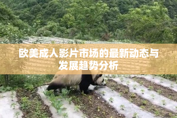 欧美成人影片市场的最新动态与发展趋势分析
