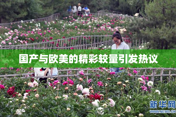 国产与欧美的精彩较量引发热议