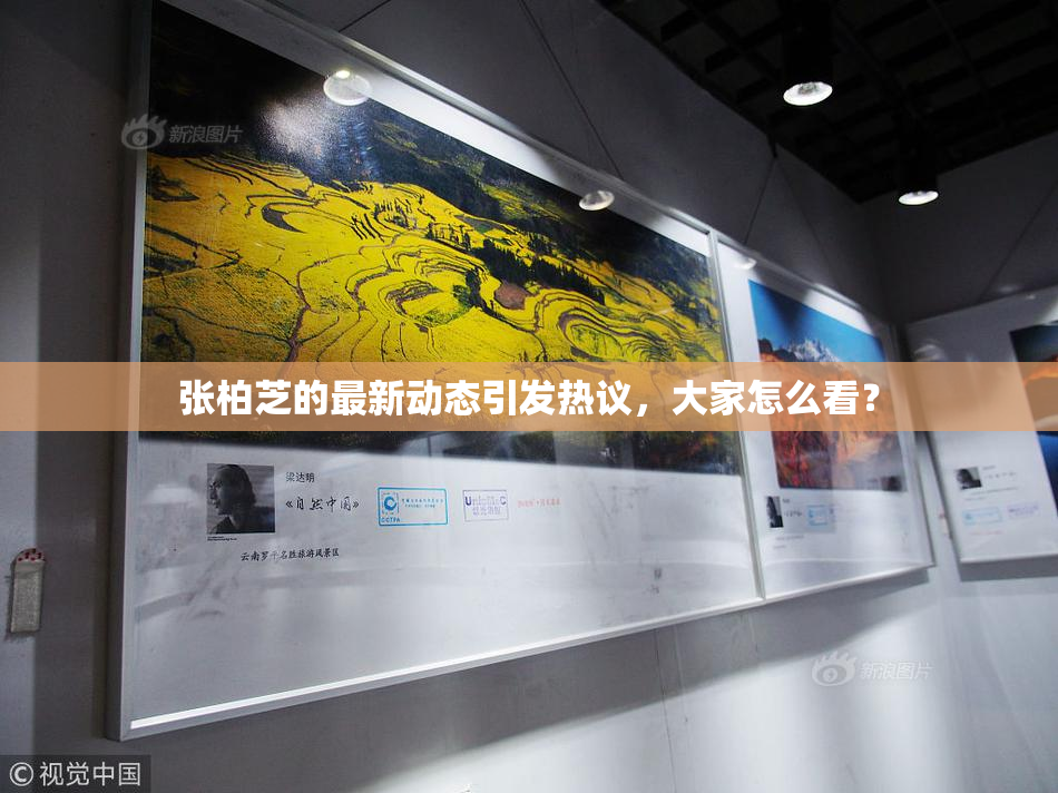 张柏芝的最新动态引发热议，大家怎么看？