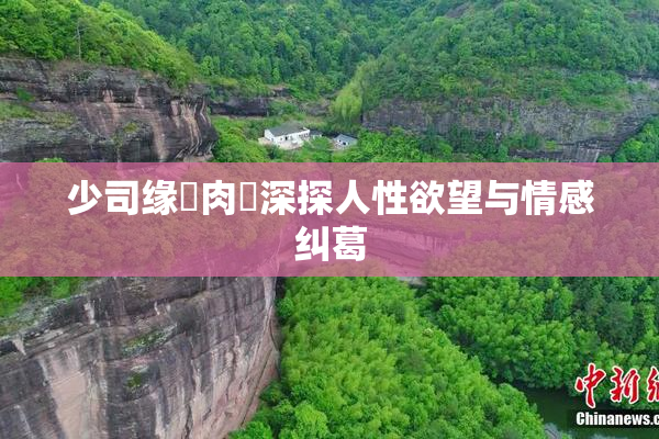 少司缘婬肉泬深探人性欲望与情感纠葛