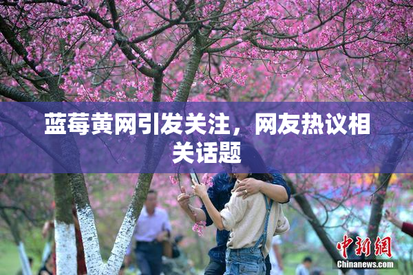 蓝莓黄网引发关注，网友热议相关话题