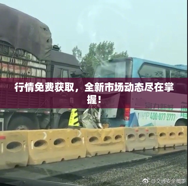 行情免费获取，全新市场动态尽在掌握！