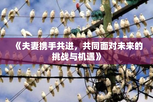 《夫妻携手共进，共同面对未来的挑战与机遇》