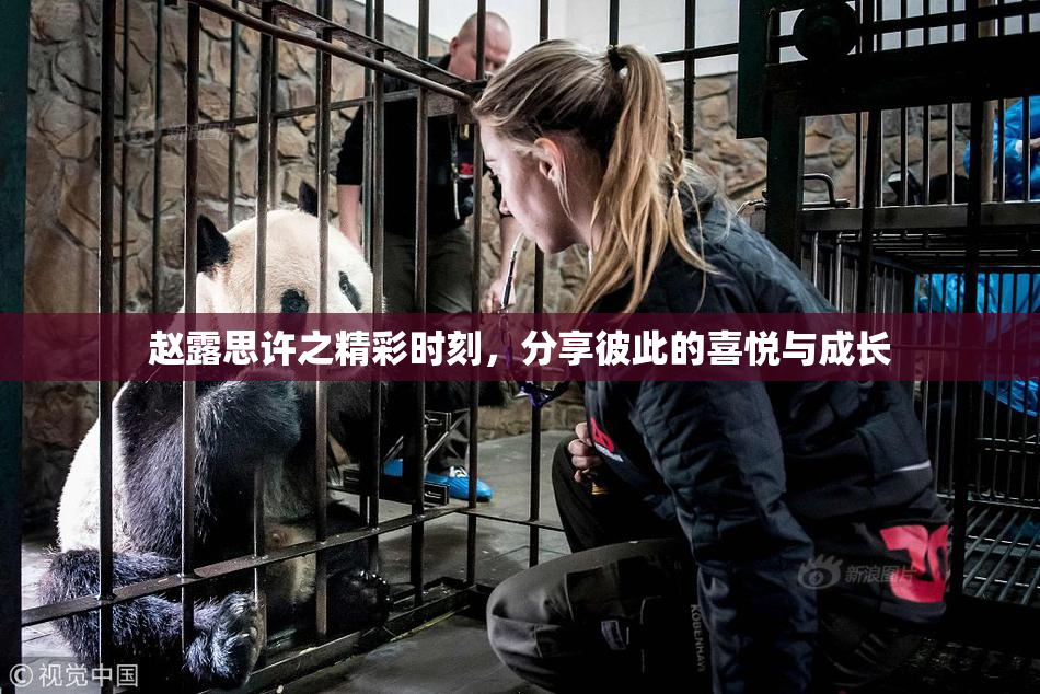 赵露思许之精彩时刻，分享彼此的喜悦与成长