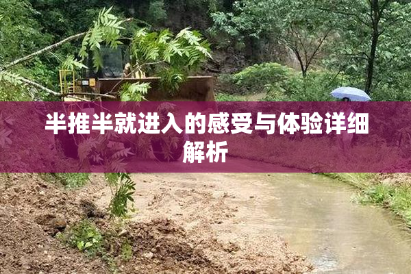半推半就进入的感受与体验详细解析