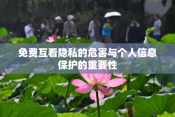 免费互看隐私的危害与个人信息保护的重要性