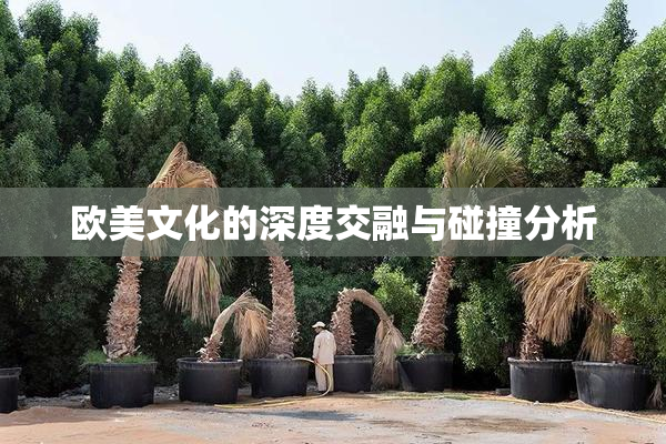 欧美文化的深度交融与碰撞分析