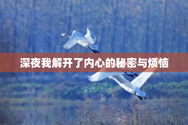 深夜我解开了内心的秘密与烦恼