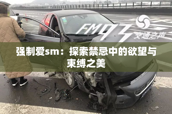 强制爱sm：探索禁忌中的欲望与束缚之美