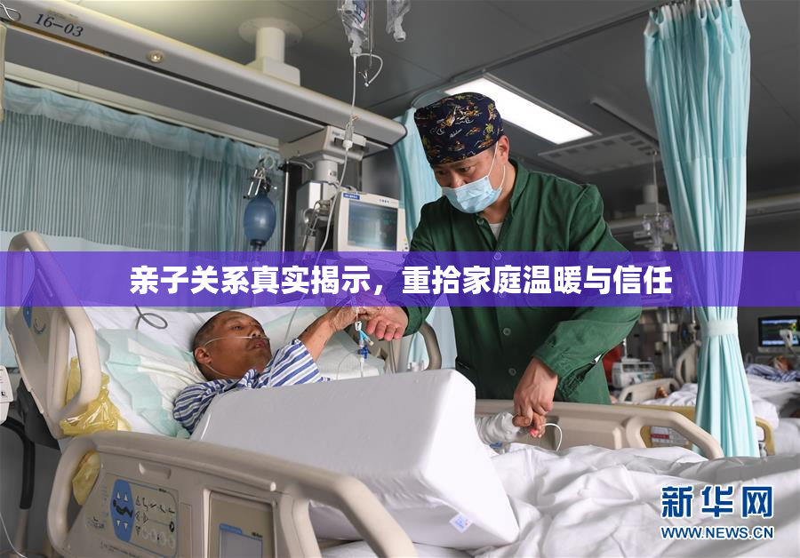 亲子关系真实揭示，重拾家庭温暖与信任