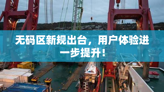 无码区新规出台，用户体验进一步提升！