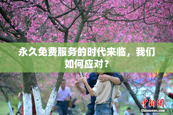 永久免费服务的时代来临，我们如何应对？