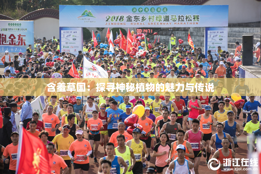 含羞草国：探寻神秘植物的魅力与传说
