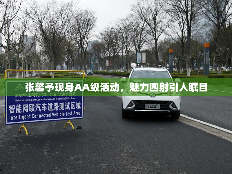 张馨予现身AA级活动，魅力四射引人瞩目