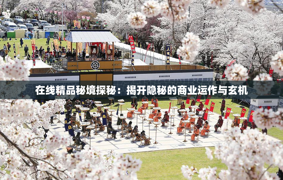 在线精品秘境探秘：揭开隐秘的商业运作与玄机