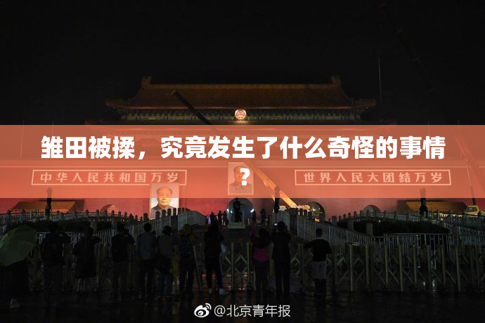 雏田被揉，究竟发生了什么奇怪的事情？