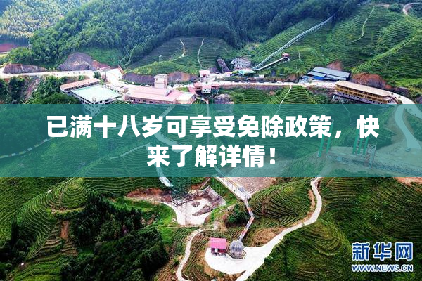 已满十八岁可享受免除政策，快来了解详情！