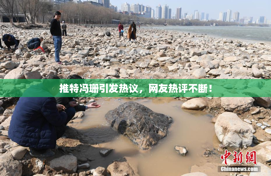 推特冯珊引发热议，网友热评不断！
