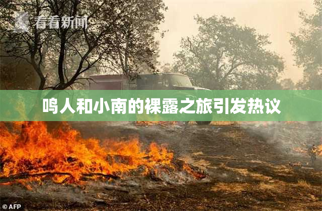 鸣人和小南的裸露之旅引发热议