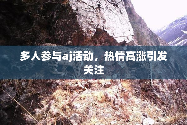 多人参与aj活动，热情高涨引发关注