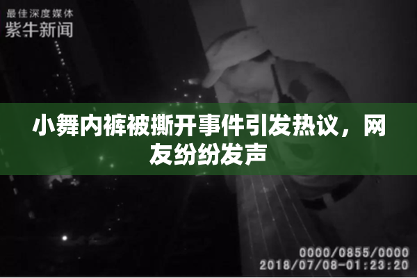 小舞内裤被撕开事件引发热议，网友纷纷发声