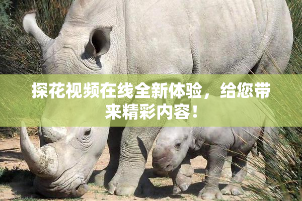 探花视频在线全新体验，给您带来精彩内容！