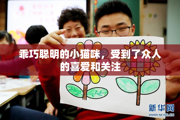 乖巧聪明的小猫咪，受到了众人的喜爱和关注