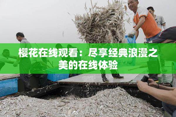樱花在线观看：尽享经典浪漫之美的在线体验