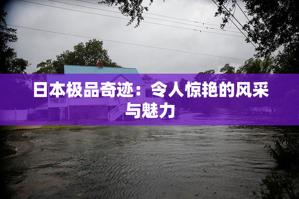 日本极品奇迹：令人惊艳的风采与魅力