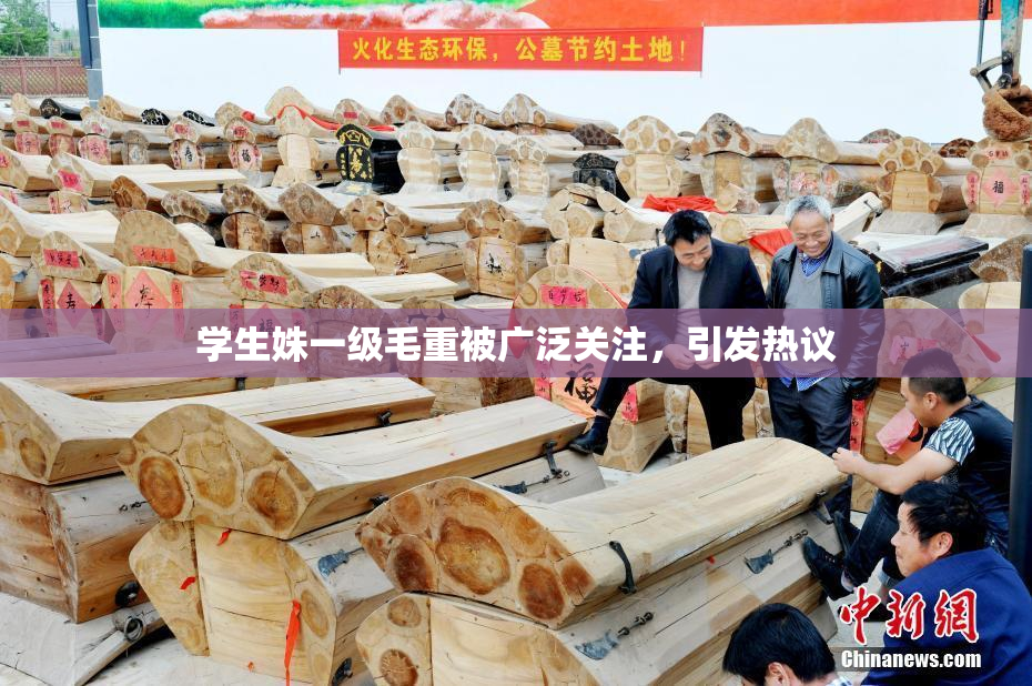 学生姝一级毛重被广泛关注，引发热议