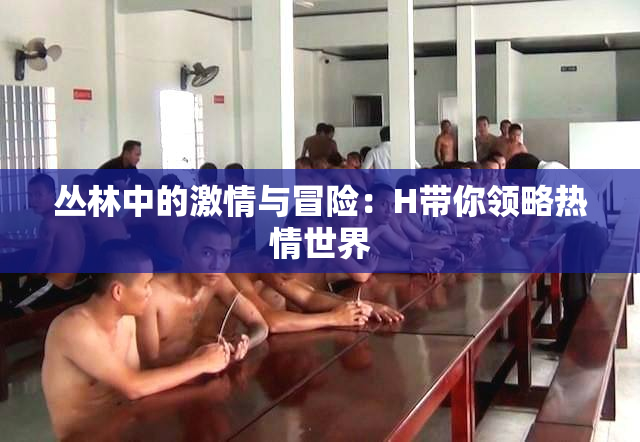 丛林中的激情与冒险：H带你领略热情世界