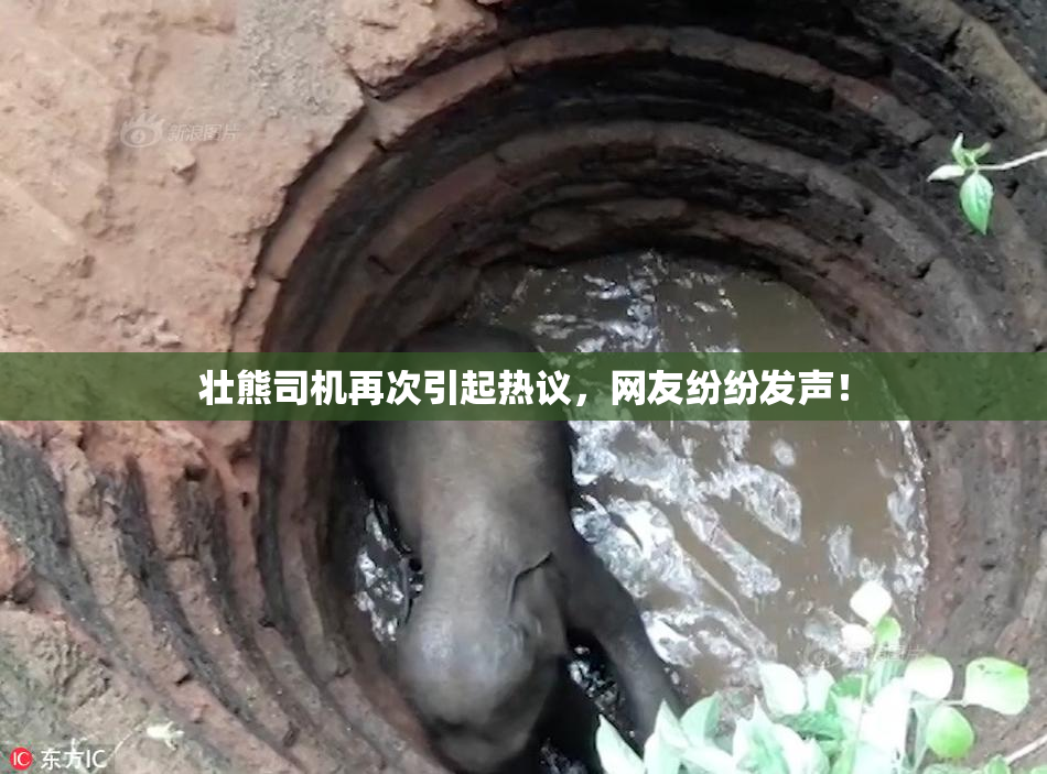 壮熊司机再次引起热议，网友纷纷发声！