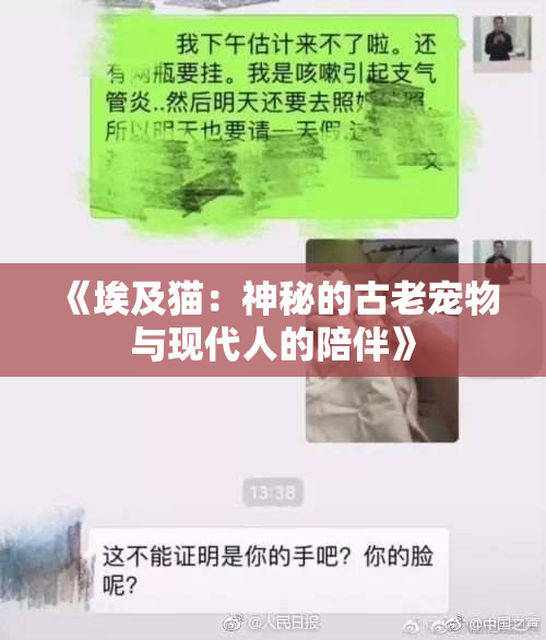《埃及猫：神秘的古老宠物与现代人的陪伴》