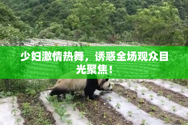 少妇激情热舞，诱惑全场观众目光聚焦！