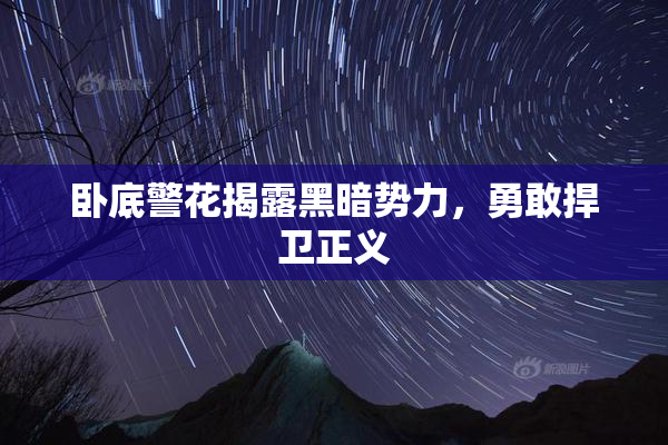 卧底警花揭露黑暗势力，勇敢捍卫正义