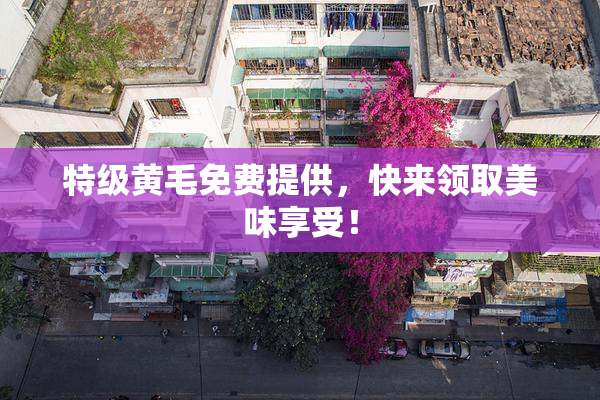 特级黄毛免费提供，快来领取美味享受！