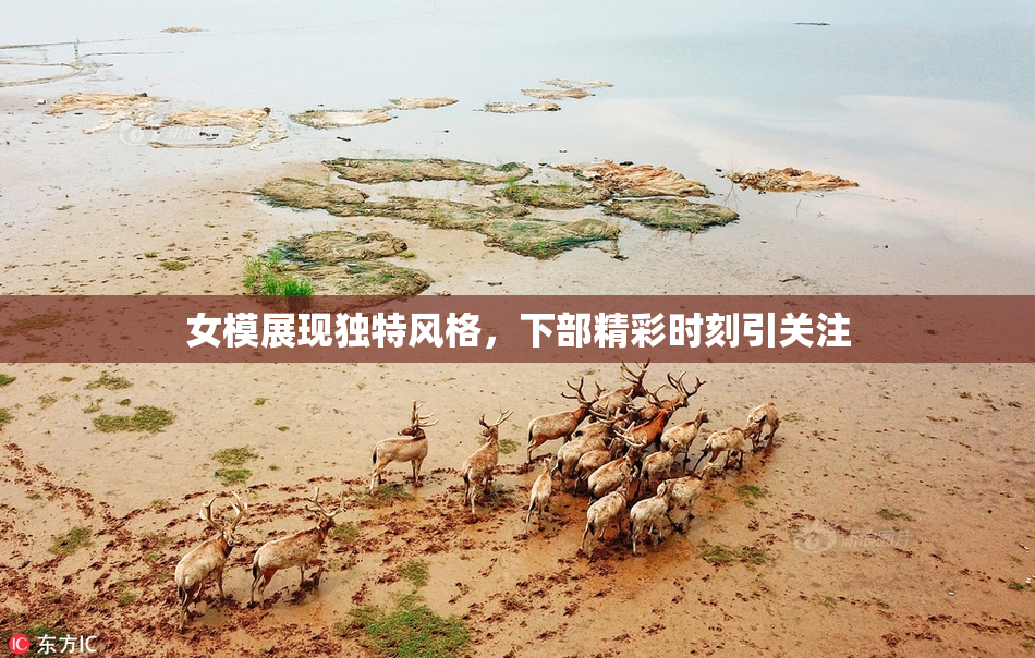 女模展现独特风格，下部精彩时刻引关注