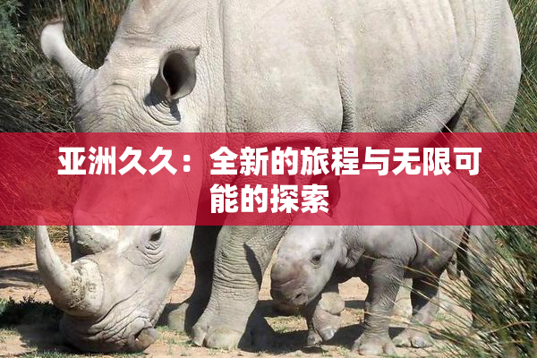 亚洲久久：全新的旅程与无限可能的探索