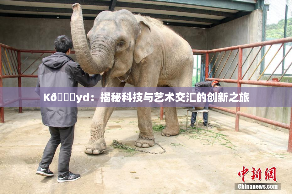 K🈚yd：揭秘科技与艺术交汇的创新之旅