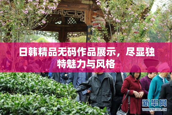 日韩精品无码作品展示，尽显独特魅力与风格