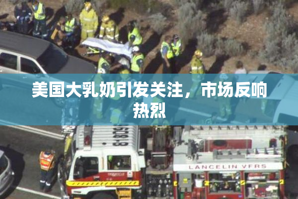 美国大乳奶引发关注，市场反响热烈