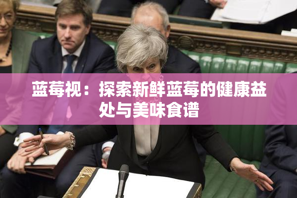 蓝莓视：探索新鲜蓝莓的健康益处与美味食谱