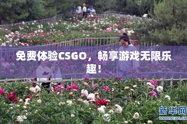 免费体验CSGO，畅享游戏无限乐趣！