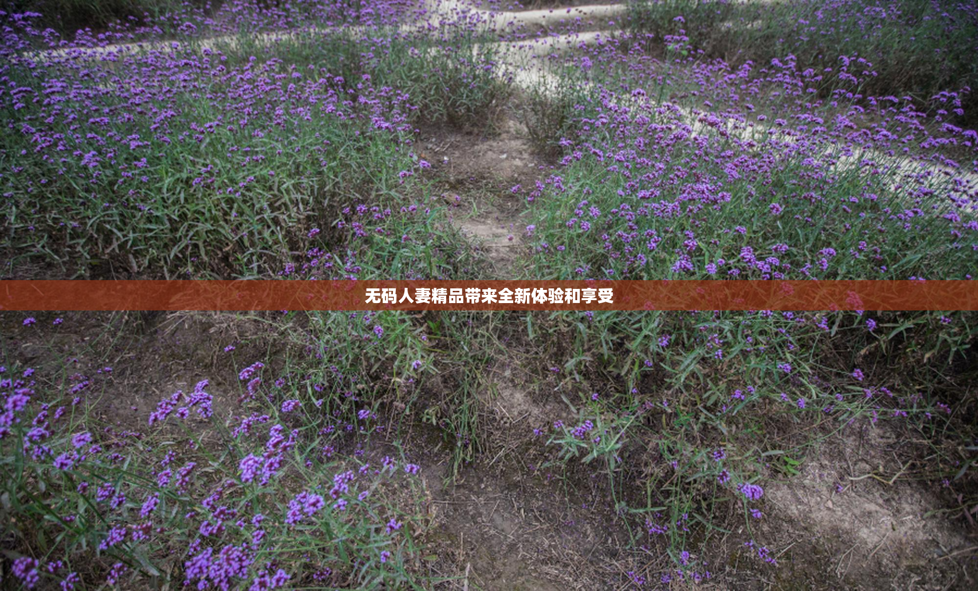无码人妻精品带来全新体验和享受
