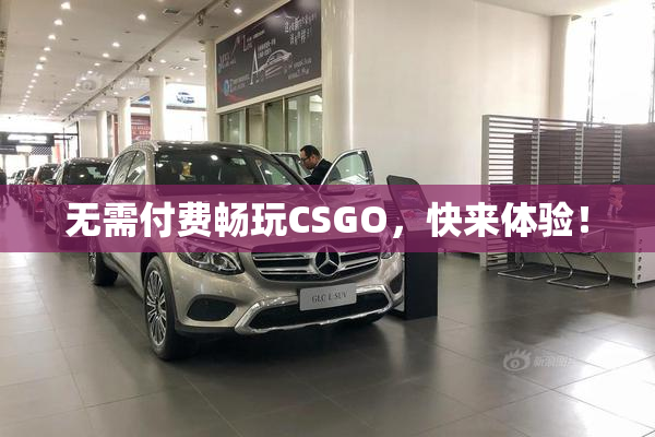 无需付费畅玩CSGO，快来体验！