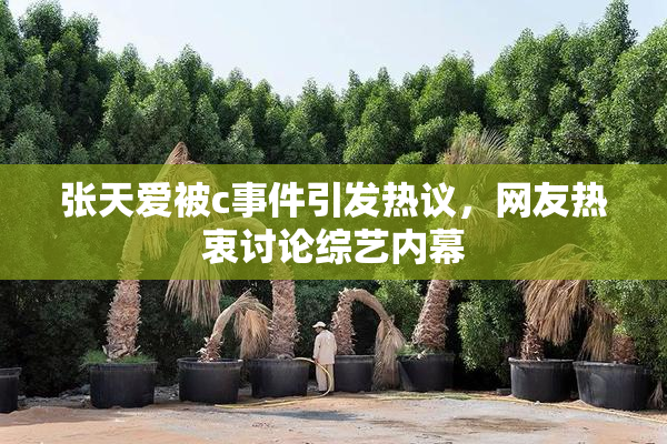 张天爱被c事件引发热议，网友热衷讨论综艺内幕