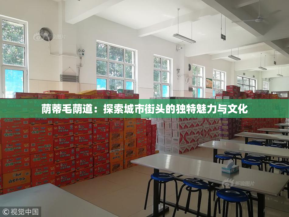荫蒂毛荫道：探索城市街头的独特魅力与文化